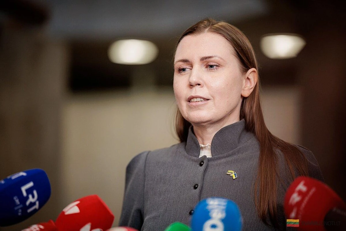 Plany wokół byłej minister obrony: Czy Dovilė Šakalienė wzmocni kluczowy komitet sejmowy?