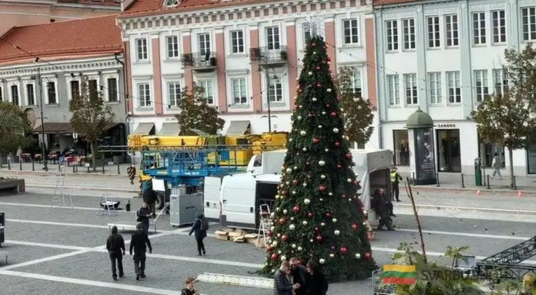 Vilniečiai pasigrobia pirmąją Kalėdų Eglę: Ar tai ženklas, kad šventės jau prasidėjo?