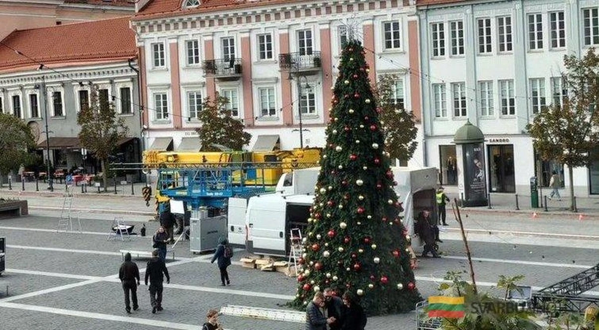 Vilniečiai pasigrobia pirmąją Kalėdų Eglę: Ar tai ženklas, kad šventės jau prasidėjo?