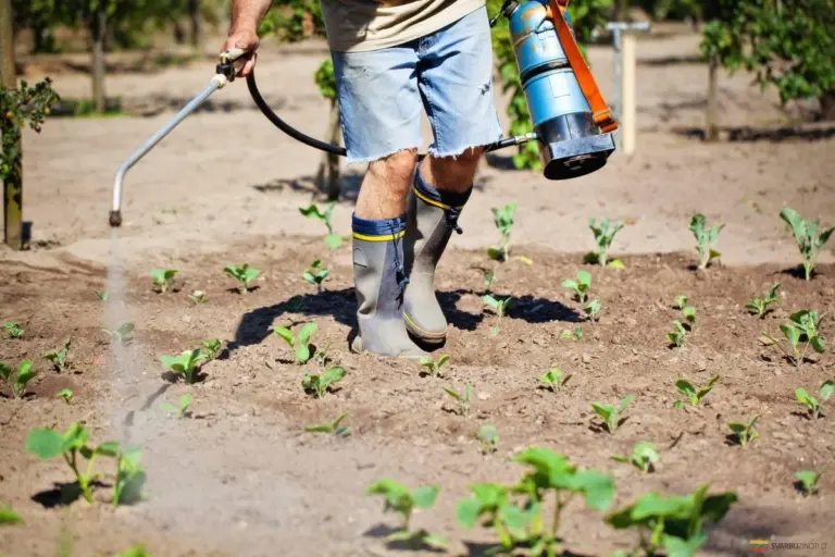 Herbicydy w ogrodzie: Jak pozbyć się chwastów raz na zawsze?