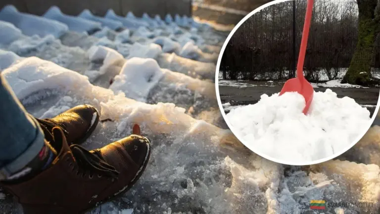 Karbamid: Sprytny sposób na lód, który pokochają Twoje rośliny