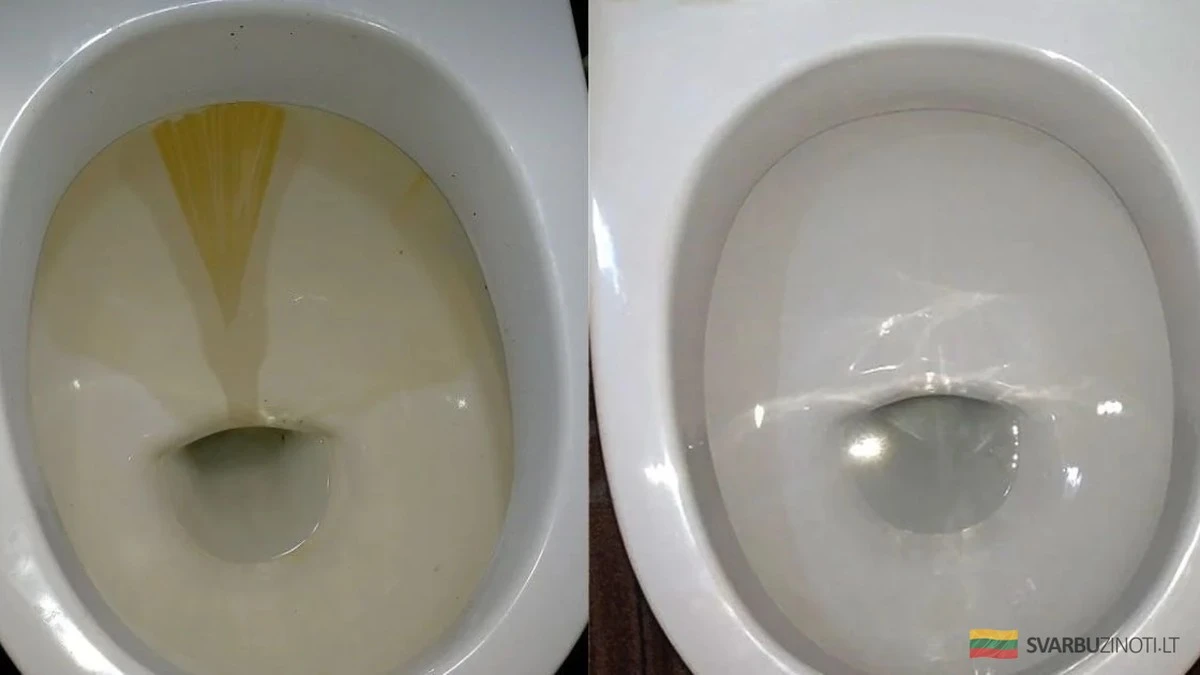Kwasek cytrynowy na kamień w toalecie: babciny sekret, który działa lepiej niż wybielacz