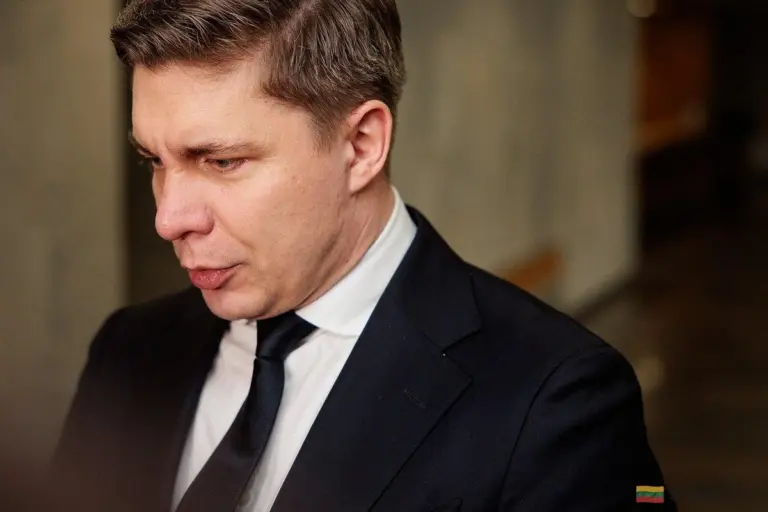 Nowy lider LSDP na rok: kto zgarnie pałeczkę po Sinkevičiusem?