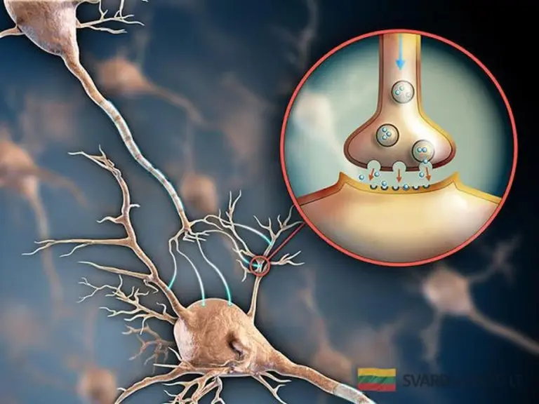 Serotonina: sekret dobrego nastroju i jak go naturalnie zwiększyć