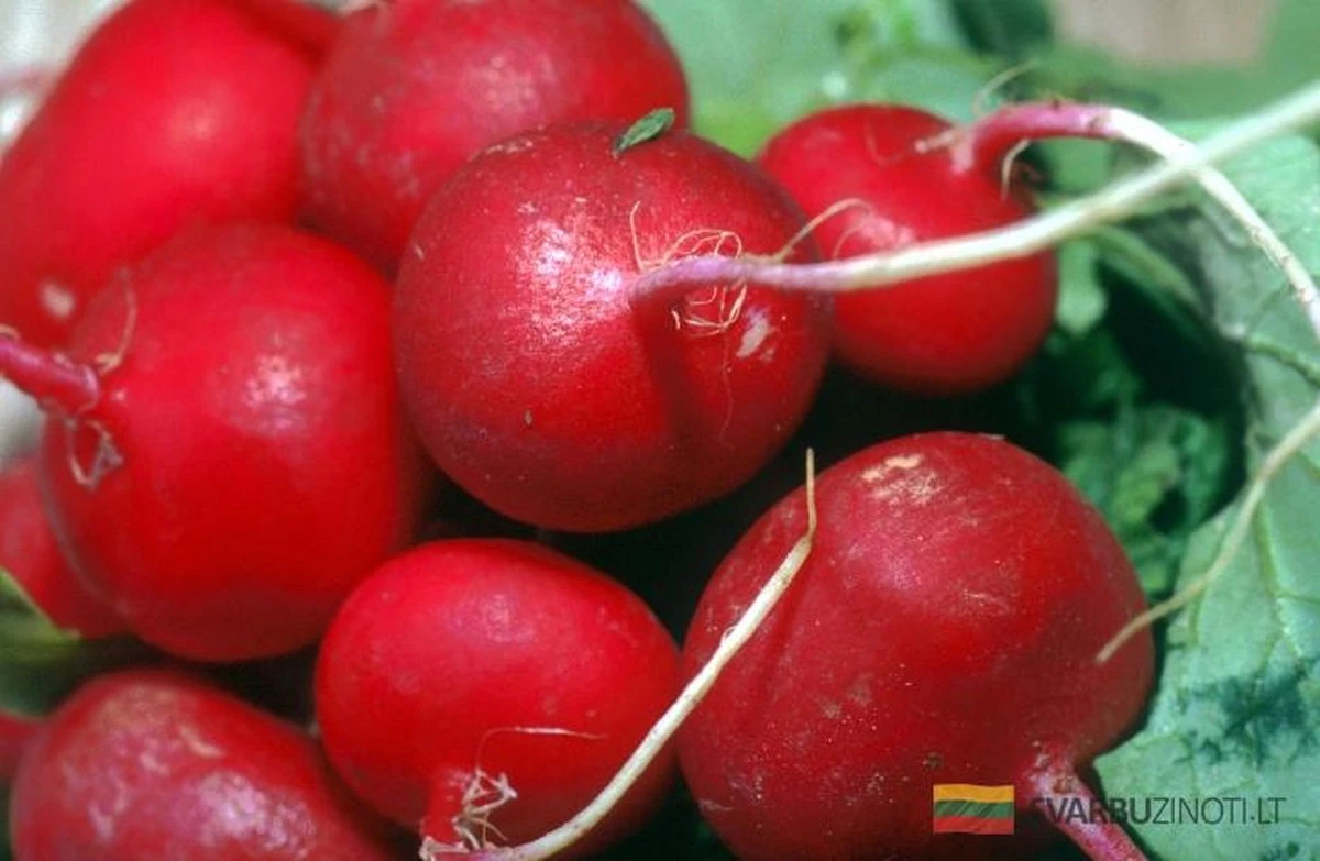 Zapomnij o lekach! Ten jeden produkt usprawni Twoją tarczycę i pożegna zaparcia.